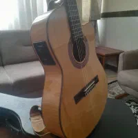 گیتار حرفه ای a48ce اریا