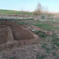 باغ 1480متر|فروش خانه و ویلا|بوکان, |دیوار