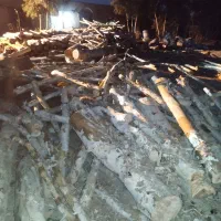 خرید چوب|خدمات باغبانی و درختکاری|ورامین, ورامین|دیوار