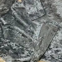 همگی نو|لباس|مشهد, باغون آباد|دیوار