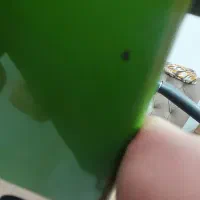 تردمیل|تجهیزات ورزشی|قائم‌شهر, |دیوار