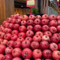 استخدام سرزمین میوه با حقوق عالی|استخدام خدمات فروشگاه و رستوران|کرمان, |دیوار