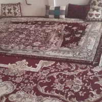 اجاره کوتا مدت منزل آپارتمان|اجارهٔ کوتاه‌مدت آپارتمان و سوئیت|مشهد, قائم|دیوار