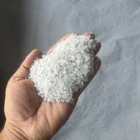 به تعداد نیروی خانم نیازمند