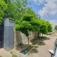 ۲۵۰متر چهاردیواری دونبش/شهرکی/کردان/شهرک زعفرانیه|فروش زمین و ملک کلنگی|کرج, کوی امامیه|دیوار