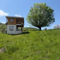 ۴۳۰متر زمین مسکونی(مجوز ساخت)پلاک ۱ جنگل