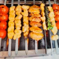 کباب پز گازی نوین صنعت