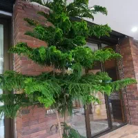 سرایدار هستم اقا مجرد