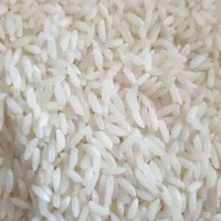 برنج سوناماسوری رسید