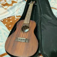 ساز یوکلِلی (او کو له له) نو مدل کنسرت