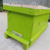 کندوی نو ۵ قاب کف باز درجه ۱ (مخصوص بچه کندو)