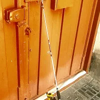 لنسر ماهیگیری