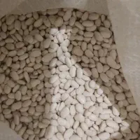 ترخینه روغن محلی