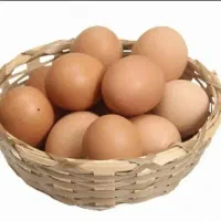تخم مرغ محلی لوکس