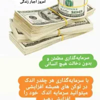 آموزش کسب درآمد دلاری از کیف پولsafepal