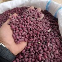 لوبیا قرمز