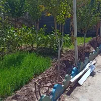 باغ دور دیوار