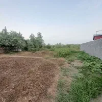 فروش ۳۰۰۰ متر زمین مسکونی قطعه بندی شده در منگوده|فروش زمین و ملک کلنگی|رشت, پیله داربن|دیوار