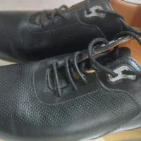 کفش اسپرت چرم سوزنی