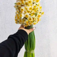 نرگس کازرون کیلو ۳۰۰ هزار تومان