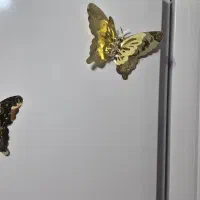 مگنت یخچالی|صنایع دستی و سایر لوازم تزئینی|کرج, حصارک پایین|دیوار