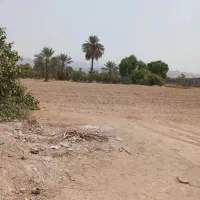 زمین کشاورزی