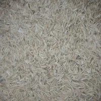 شالی