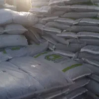 حیاط سازی ونگه داری گل گیاه|خدمات باغبانی و درختکاری|کلارآباد, |دیوار