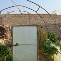 گلخانه کوچیک برای باغچه|مصالح و تجهیزات ساختمان|زهک, |دیوار