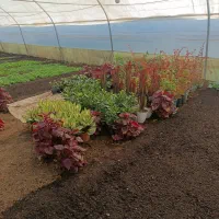 باغبانی وباغچه کاری بانازل ترین قیمت