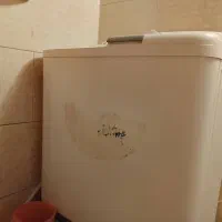 ماشین لباسشویی دقلو گولد فورست