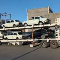 اسقاط ، سالم ، سوخته ، تصادفی