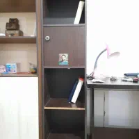 ویترین و کتابخانه|بوفه، ویترین، کنسول|بومهن, |دیوار