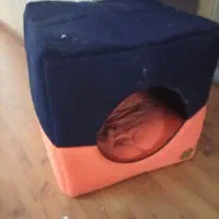 گربه پرشین|گربه|تهران, جنت‌آباد جنوبی|دیوار