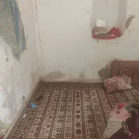 کارگر  ساده|استخدام صنعتی، فنی، مهندسی|زابل, |دیوار