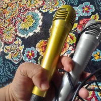 میکروفون 2تا|صوتی و تصویری|مشهد, الهیه|دیوار