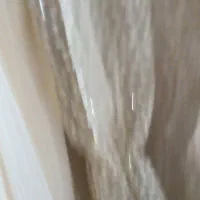 لباس مجلسی|لباس|زابل, |دیوار