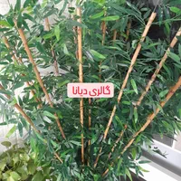 بامبو و بنجامین مصنوعی درختچه درخچه|گل مصنوعی|کرج, حصارک بالا|دیوار