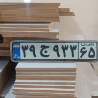 پلاک پیدا شده