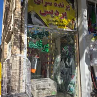 دستگاه جوجه کشی هدایت