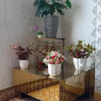میز عسلی
