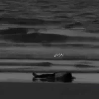 کالسکه بچه براکسی