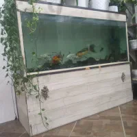 اکواریوم ۱۶۰در۷۰