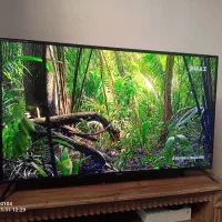 تلویزیون 50اینچ ال ای دی نکسار