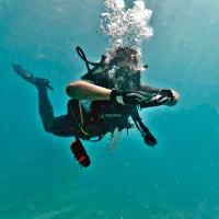 استخدام نیروی غواص در قفس پرورش ماهی کنگان