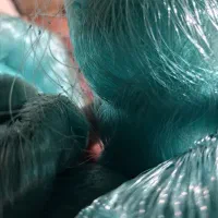تور .دام . چشمه بزرگ
