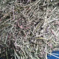 خرید و فروش یونجه خشک|خدمات باغبانی و درختکاری|قوچان, |دیوار