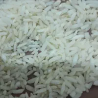 سلام فروش یک تن ونیم برنج پبش فروش