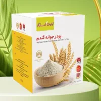 پودر جوانه گندم بین استار ( تخفیف بلک فرایدی )