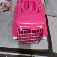 اسکاتیش|گربه|مشهد, تربیت (صدف)|دیوار